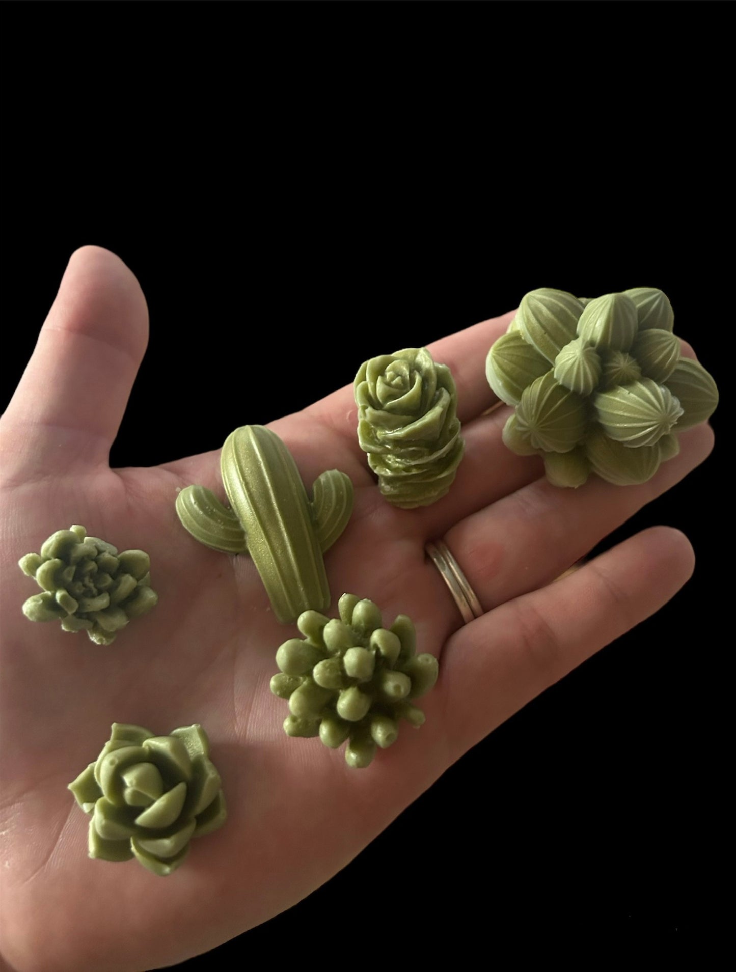 Succulent wax melts