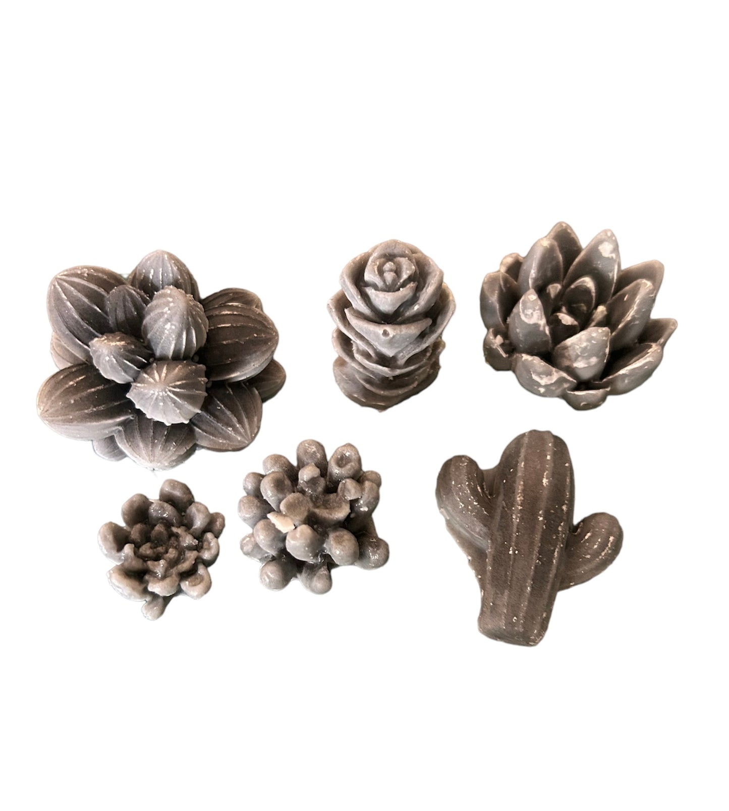 Succulent wax melts