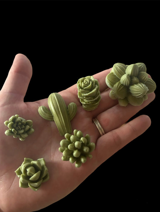 Succulent wax melts