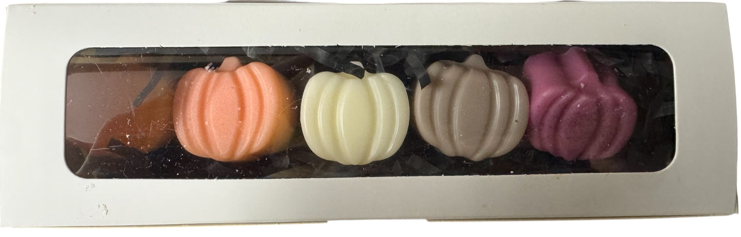 Autumn collection wax melts